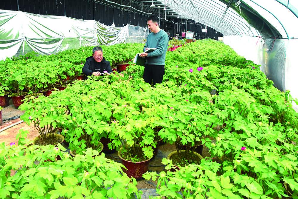 1770686303429364.jpg 39f18a74-1a2c-4d1f-8483-6cee097645d3.tif.jpg