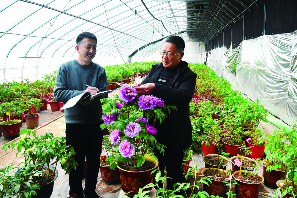 1770686307839329.jpg c2fb0a58-0530-433c-aab8-73979a41e4a5.tif.jpg